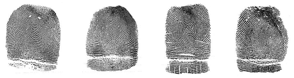 4 impronte digitali